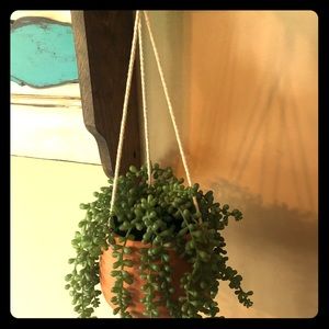 Fake Hanging Plant